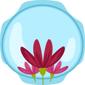 花朵标签免抠图