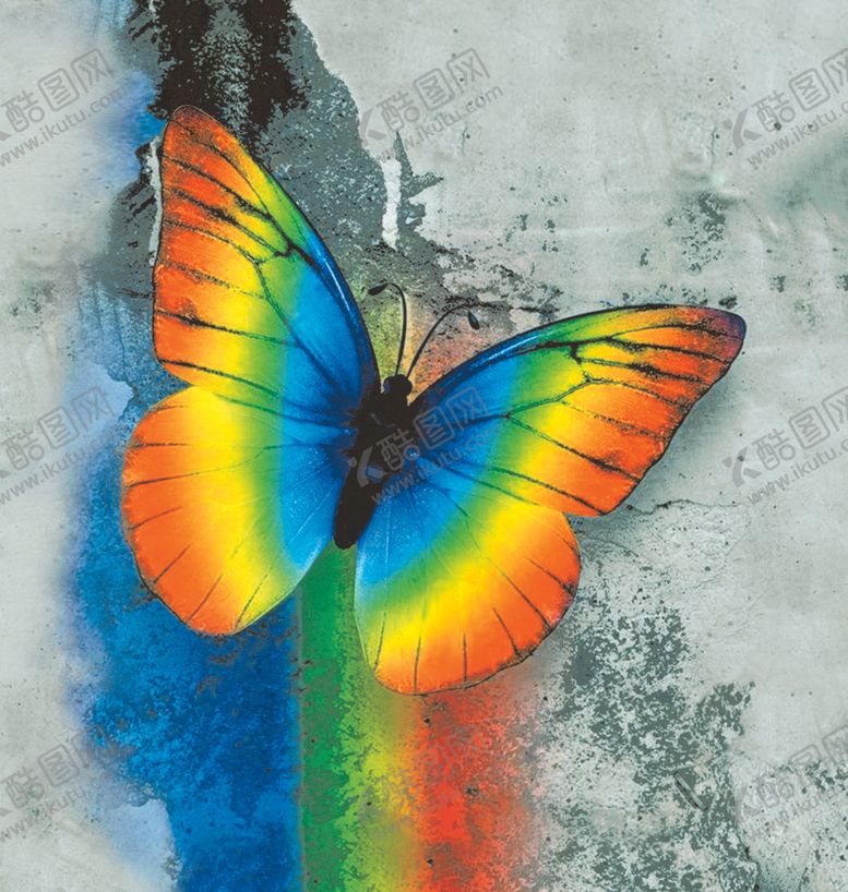 编号：13374310141807462958【酷图网】源文件下载-蝴蝶
