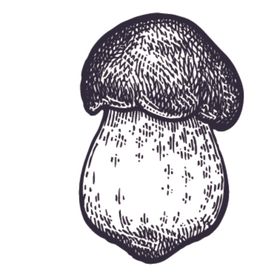 餐饮食物插画元素