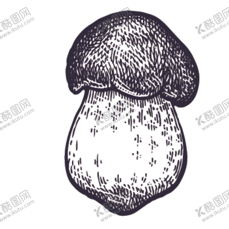 编号：35025306181509231527【酷图网】源文件下载-餐饮食物插画元素