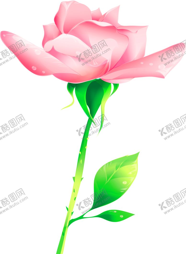 编号：33819909141930356607【酷图网】源文件下载-花素材