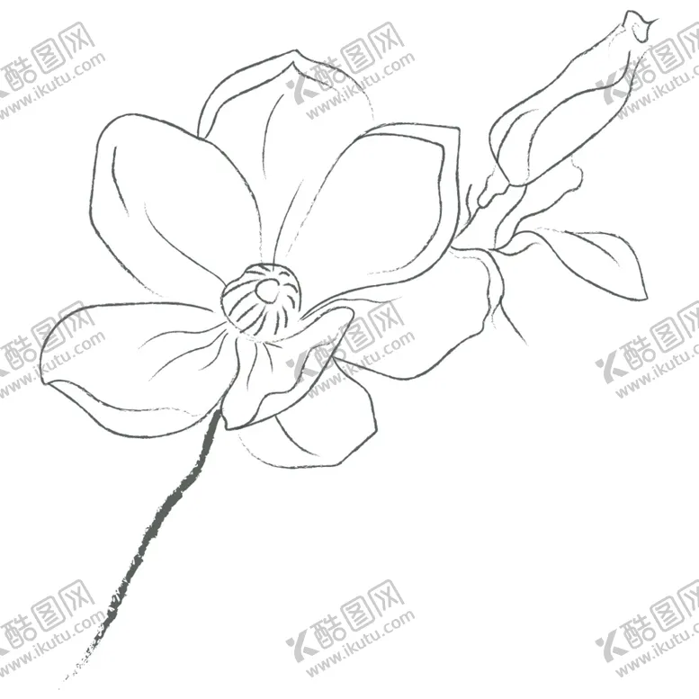 编号：39274509140711198590【酷图网】源文件下载-线描花