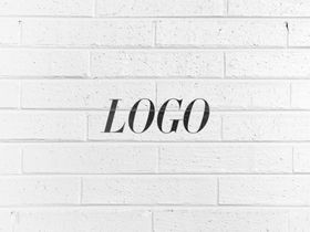 logo样机图片效果展示VIS效果