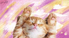 线圈插画猫咪的梦境