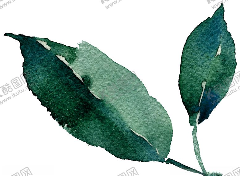 编号：43272610071953291848【酷图网】源文件下载-水彩创意花朵植物