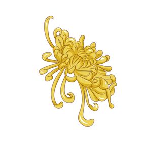 菊花素材