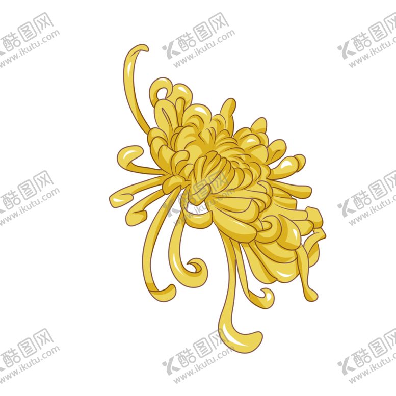 编号：48191606271914328531【酷图网】源文件下载-菊花素材
