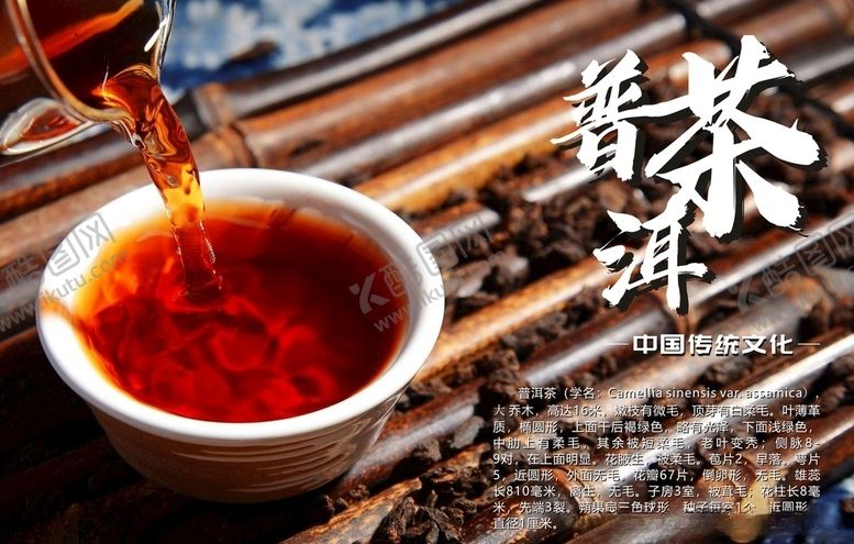 编号：55683307140734494591【酷图网】源文件下载-普洱茶