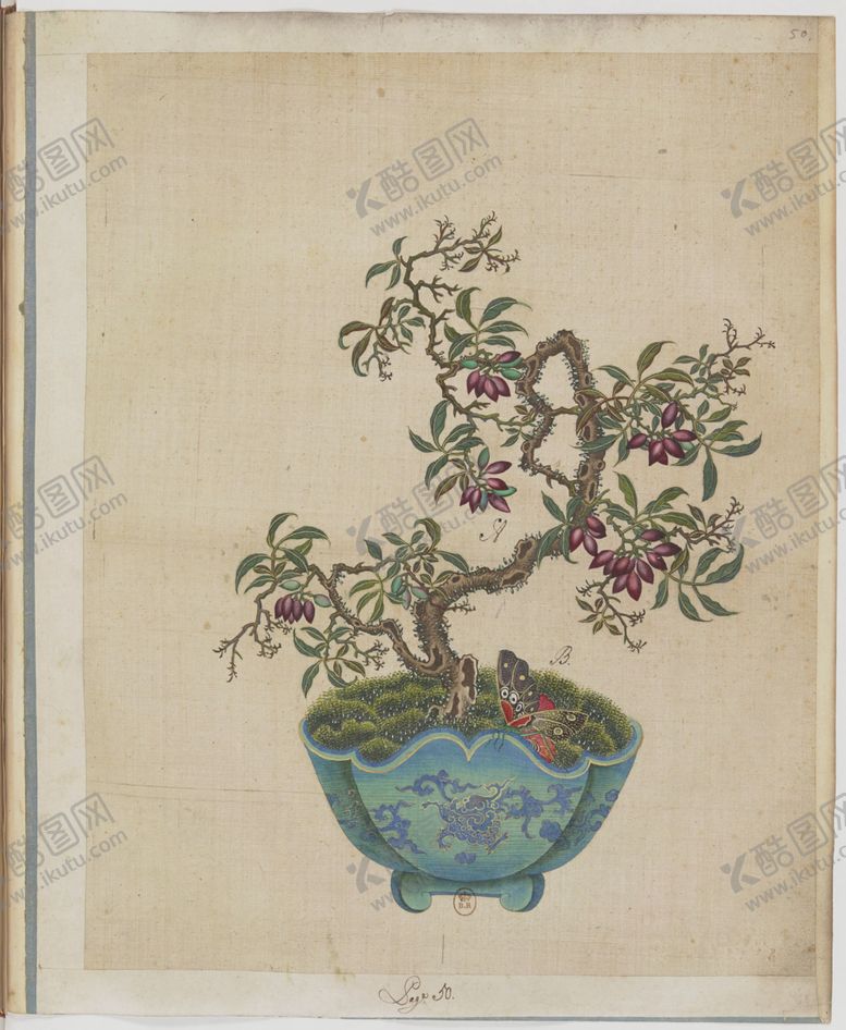 编号：57954704200710031054【酷图网】源文件下载-盆景花鸟