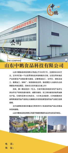 公司简介