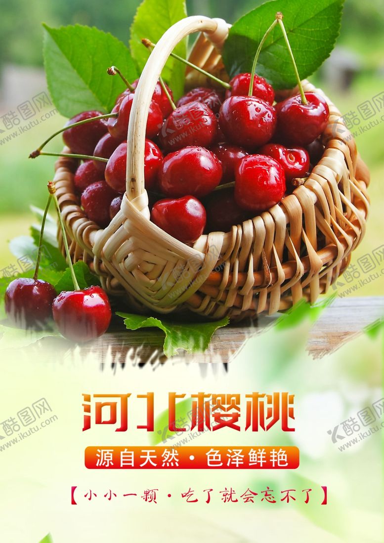 编号：90222909261550044999【酷图网】源文件下载-采摘樱桃海报