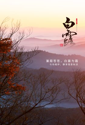 白露传统节日活动宣传海报素材