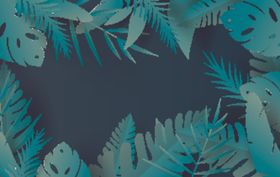 植物树叶叶子热带