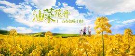 浪漫油菜花展板