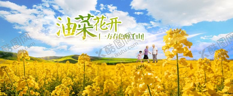 编号：50211704051044298818【酷图网】源文件下载-浪漫油菜花展板