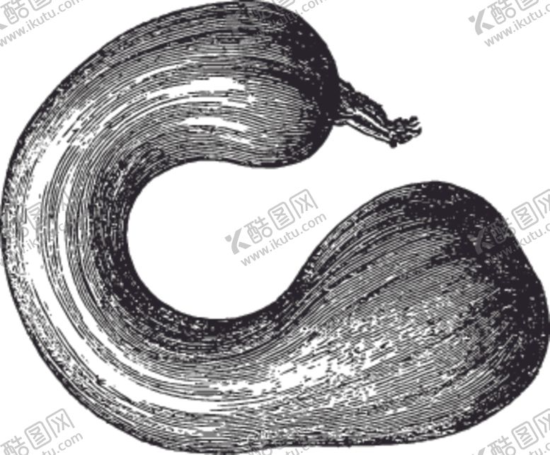 编号：84606410270935465805【酷图网】源文件下载-素描手绘蔬菜