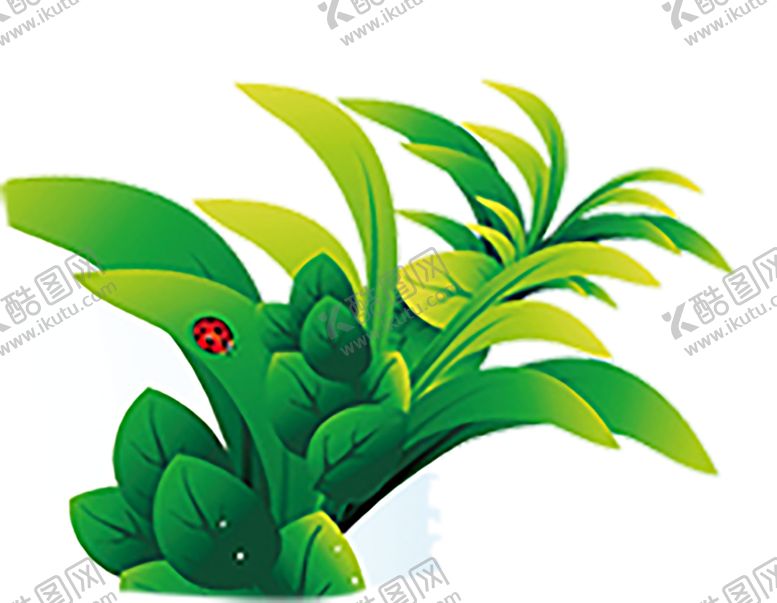 编号：15255410080150341593【酷图网】源文件下载-绿色植物