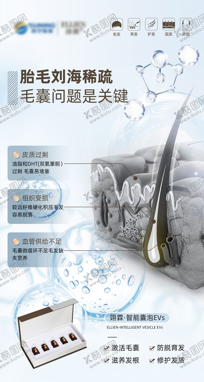 编号：61326011231953575127【酷图网】源文件下载-脱发掉发毛囊问题海报