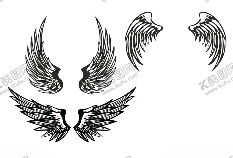 编号：79455309291023168700【酷图网】源文件下载-羽毛翅膀