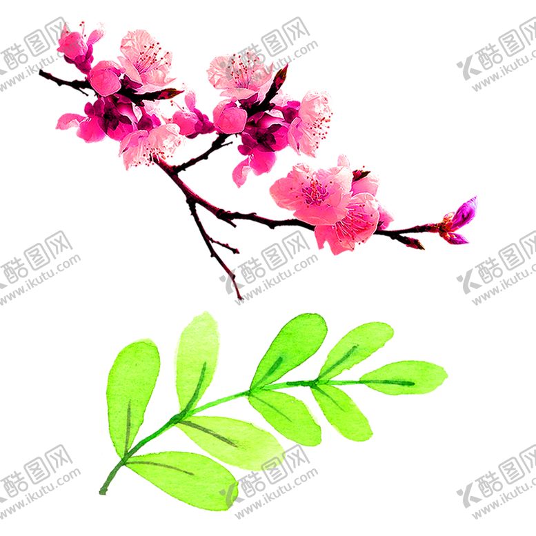 编号：33965309232153523646【酷图网】源文件下载-花素材