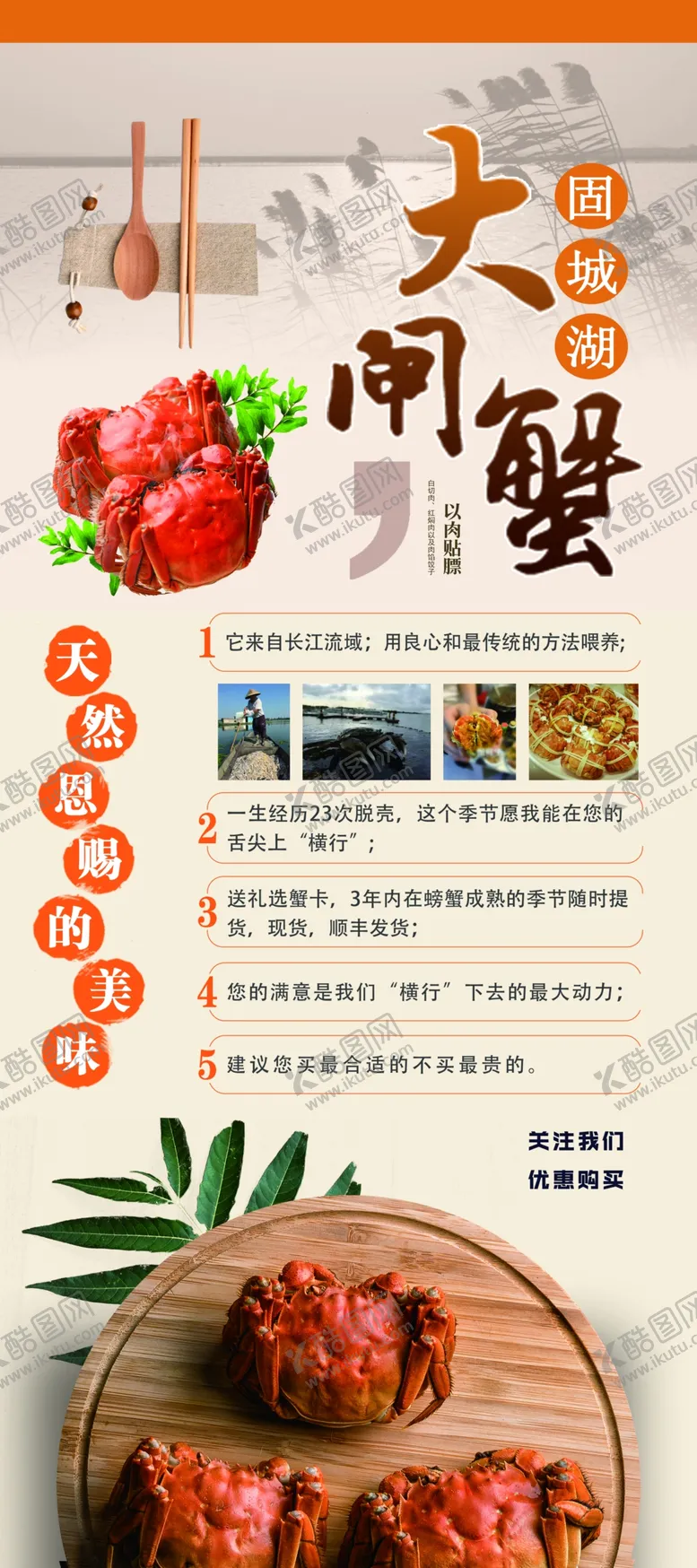 编号：59087605020024539010【酷图网】源文件下载-大闸蟹