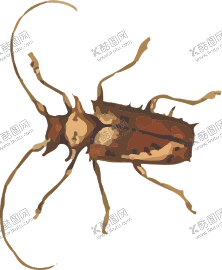 编号：69213309171920283955【酷图网】源文件下载-长须甲虫昆虫插画