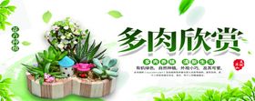 多肉海报
