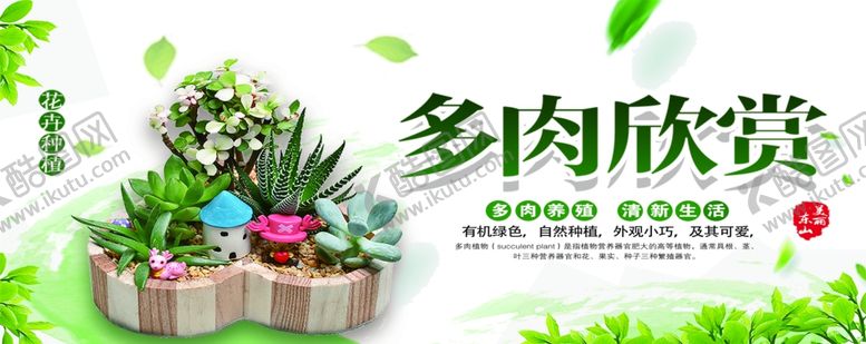 编号：22981109160926411133【酷图网】源文件下载-多肉海报