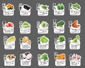 多样蔬菜标签展示