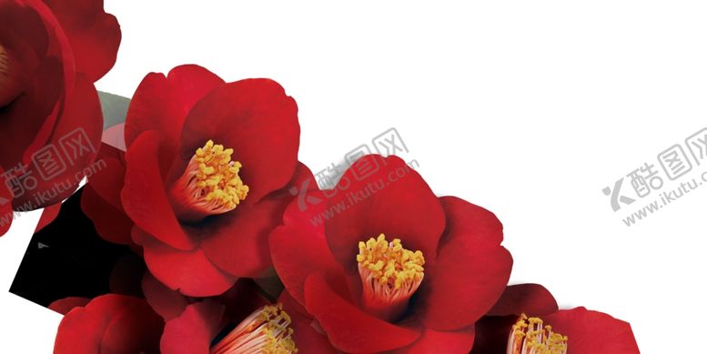 编号：40546909182328474824【酷图网】源文件下载-芍药线稿花朵线描线条