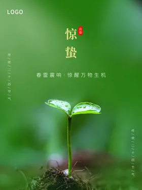 惊蛰转发叶子海报单页