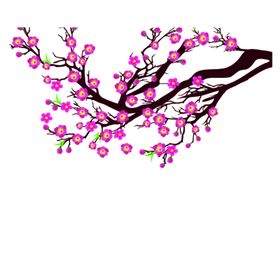 梅花素材