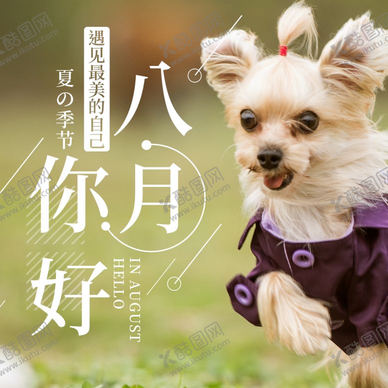 编号：48638110280812424426【酷图网】源文件下载-八月