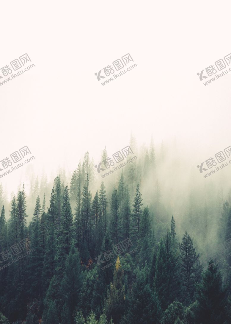 编号：32441101270243486442【酷图网】源文件下载-森林装饰画