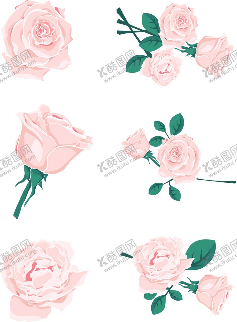 编号：73890109270704512235【酷图网】源文件下载-玫瑰