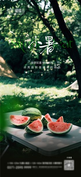 地产小暑海报