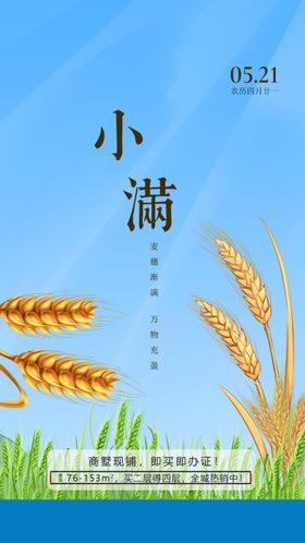 小满海报24节气绿色