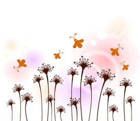 蜜蜂蝴蝶蒲公英