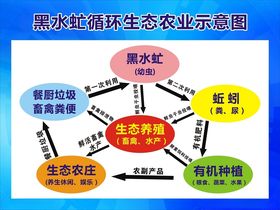 黑水虻循环生态农业示意图