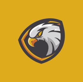雄鹰LOGO