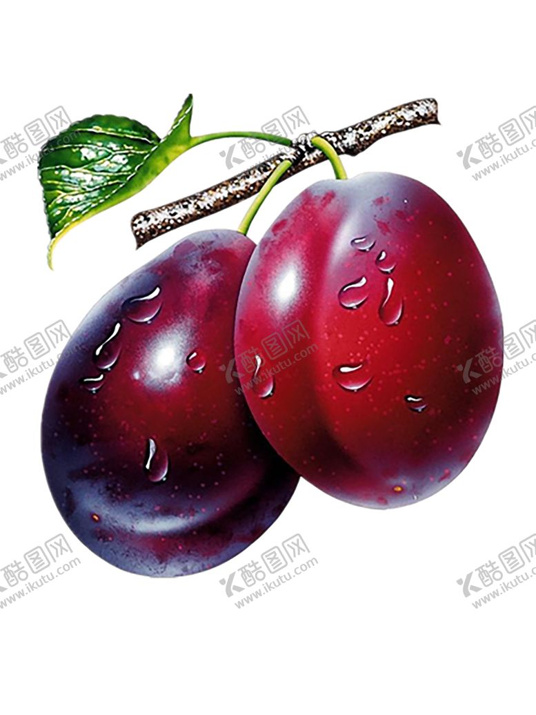 编号：71052307031544404324【酷图网】源文件下载-水果