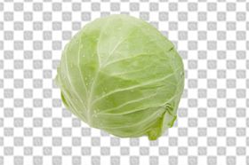 包菜