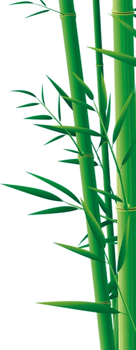 竹子竹叶