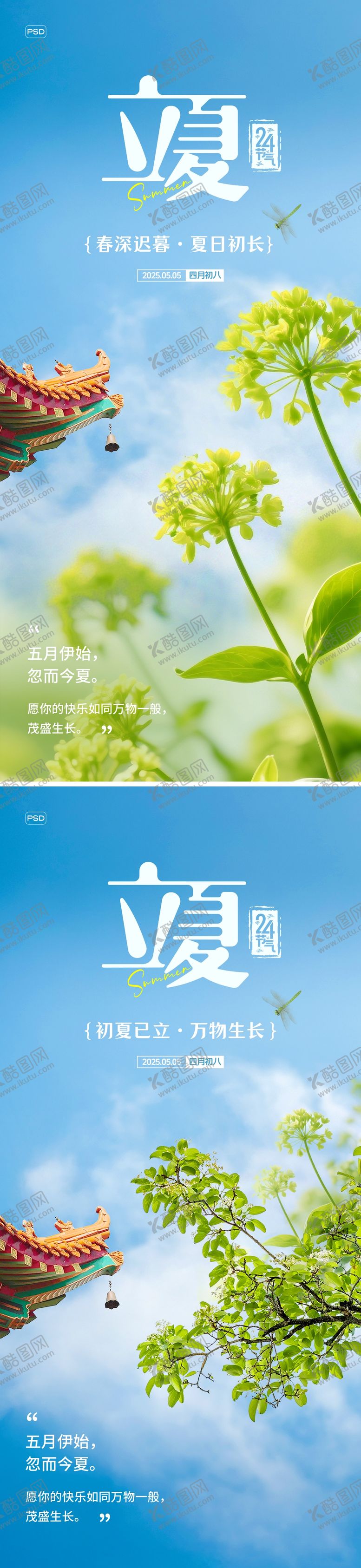 编号：28805605020716178106【酷图网】源文件下载-立夏节气海报