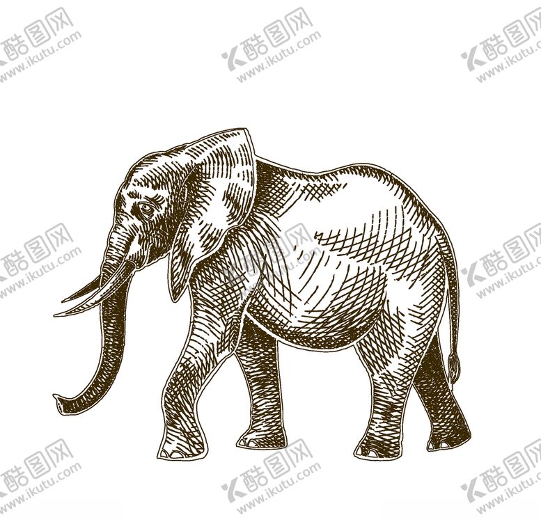 编号：93722210101527411837【酷图网】源文件下载-大象