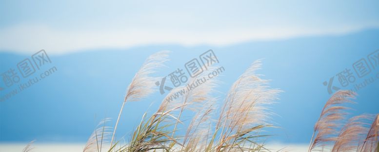 编号：93682606170119296710【酷图网】源文件下载-处暑海报处暑素材节气海报