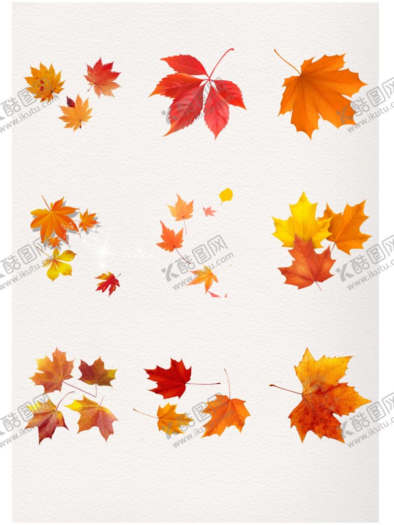 编号：84932810052131452331【酷图网】源文件下载-落叶