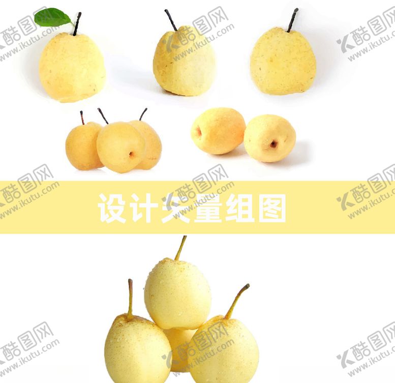 编号：93330510040115251131【酷图网】源文件下载-贡梨矢量