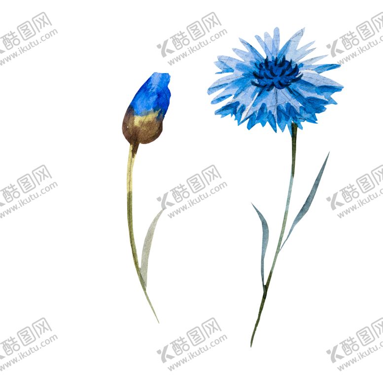编号：21585406240132253221【酷图网】源文件下载-手绘植物