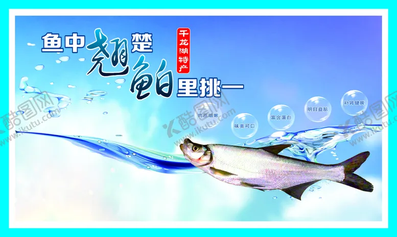 编号：82960901291414072661【酷图网】源文件下载-鲌鱼